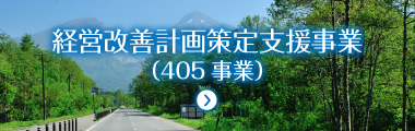 経営改善計画策定支援事業(405事業)