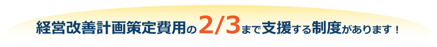 経営改善計画策定費用の2/3まで支援する制度ができました