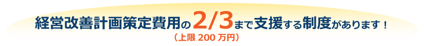 経営改善計画策定費用の2/3まで支援する制度ができました