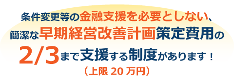 条件変更等の金融支援を必要としない、簡潔な早期経営改善計画策定費用の2/3まで支援する制度ができました