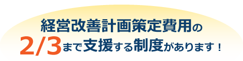 経営改善計画策定費用の2/3まで支援する制度ができました