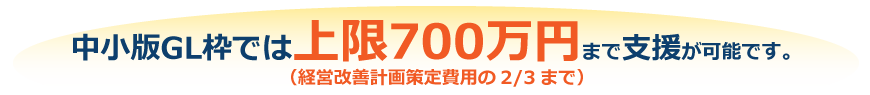 経営改善計画策定費用の2/3まで支援する制度ができました